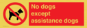 no-dogs-except-assistance-dogs~